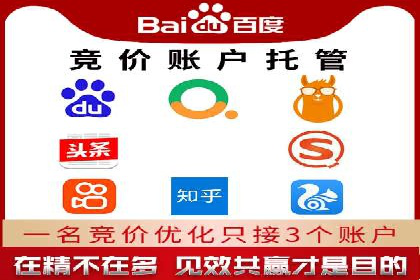 解析SEM代运营托管公司在市场竞争中的角色